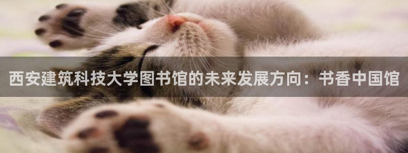 和记怡情h88官网