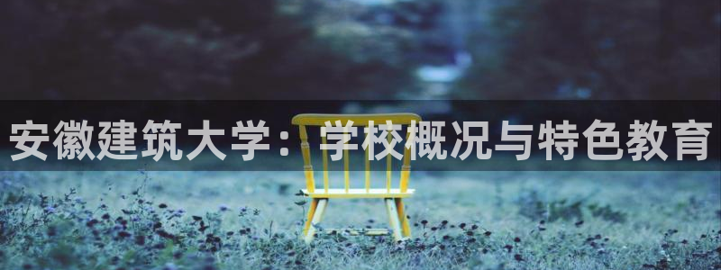 和记国际官网官网