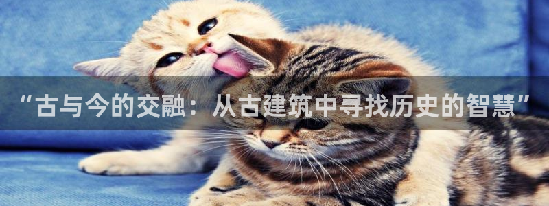 澳门和记官网
