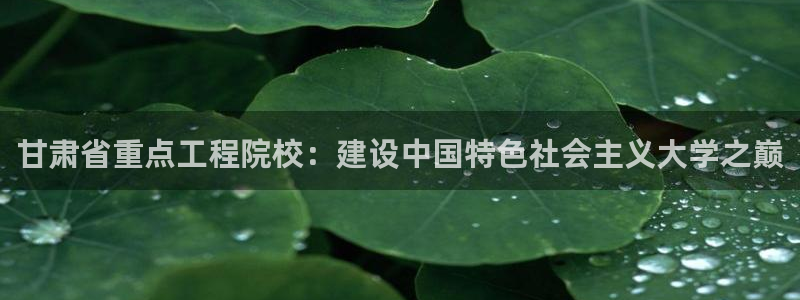 和记茶餐厅官网：甘肃省重点工程院校：建设中国特色社会主义大学之巅
