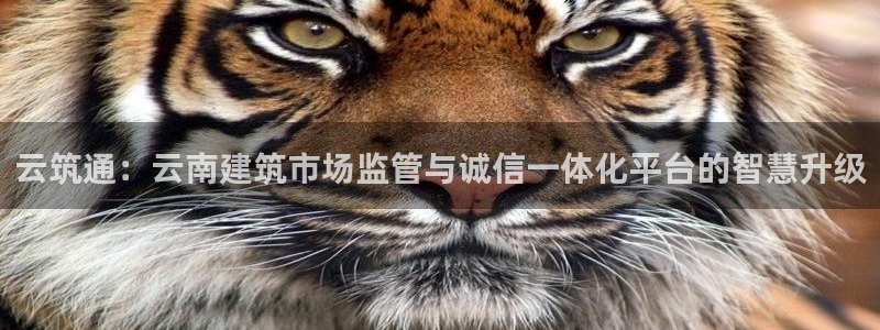 广州和德记官网