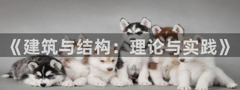下载和记官网