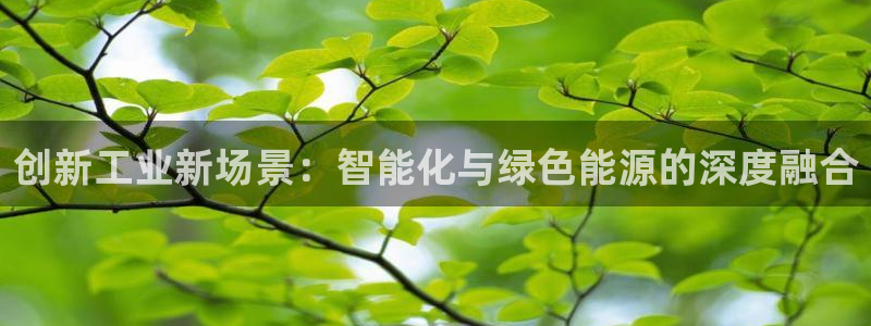 缅甸和记平台官网