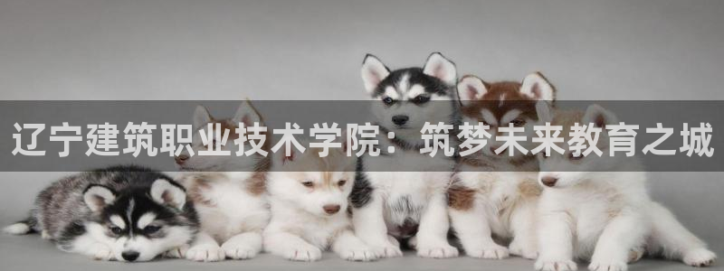 香港和记3官网：辽宁建筑职业技术学院：筑梦未来教育之城