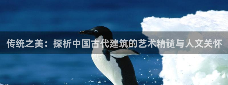 香港和记官网