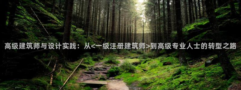 和记电游官网：高级建筑师与设计实践：从<一级注册建筑师>到高级专业人士的转型之路