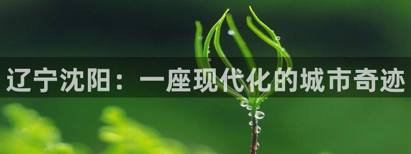 和记怡情博娱官网：辽宁沈阳：一座现代化的城市奇迹