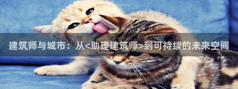 和记官网手机：建筑师与城市：从<助理建筑师>到可持续的未来空间