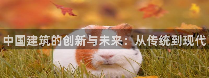 香港和记3官网：中国建筑的创新与未来：从传统到现代