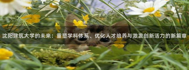 和记怡情博娱官网：沈阳建筑大学的未来：重塑学科体系、优化人才培养与激发创新活力的新篇章