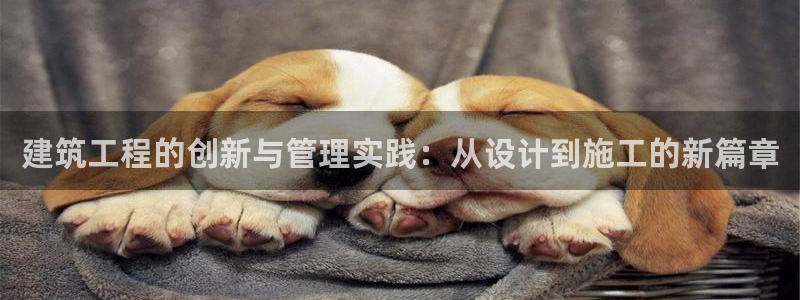 和记国际官网首页