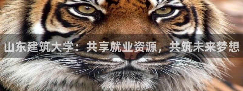 重庆和记黄埔官网