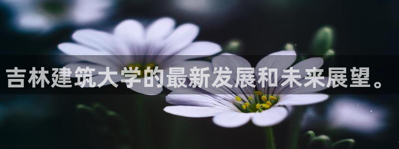 和记官网客服app：吉林建筑大学的最新发展和未来展望。