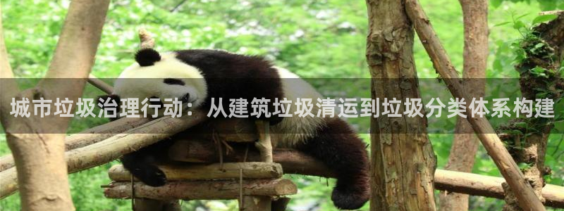3g和记官网：城市垃圾治理行动：从建筑垃圾清运到垃圾分类体系构建