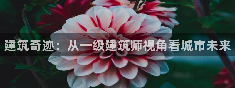 和记娱乐首页官网：建筑奇迹：从一级建筑师视角看城市未来