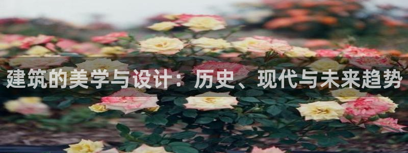 和记中国官网
