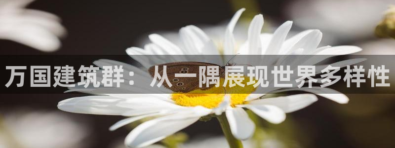 和记黄埔上海官网：万国建筑群：从一隅展现世界多样性