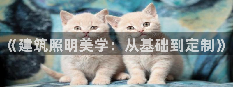 和记官网娱乐场：《建筑照明美学：从基础到定制》