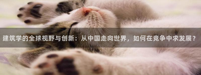 郑州和记酒业官网：建筑学的全球视野与创新：从中国走向世界，如何在竞争中求发展？