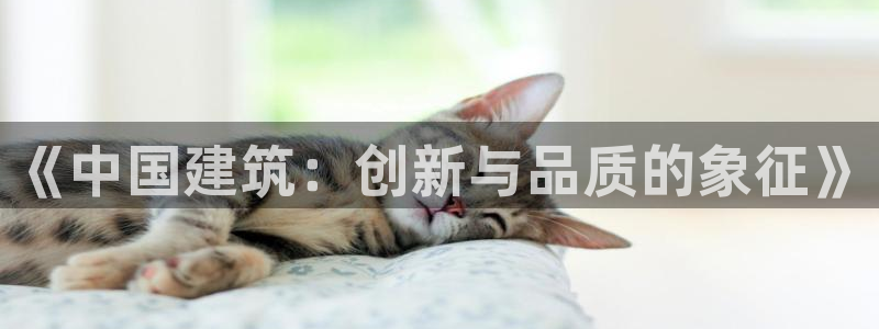 和记电讯 官网：《中国建筑：创新与品质的象征》