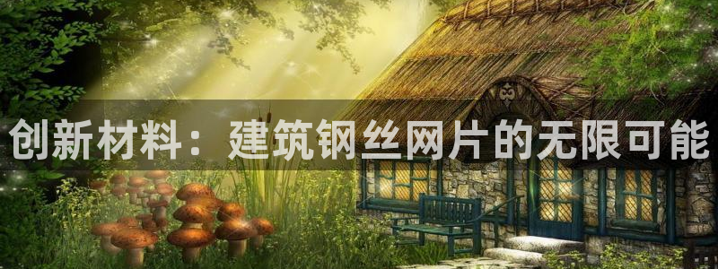 和记官网是一个什么平台：创新材料：建筑钢丝网片的无限可能