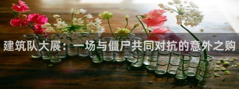 和记怡情官网：建筑队大展：一场与僵尸共同对抗的意外之购