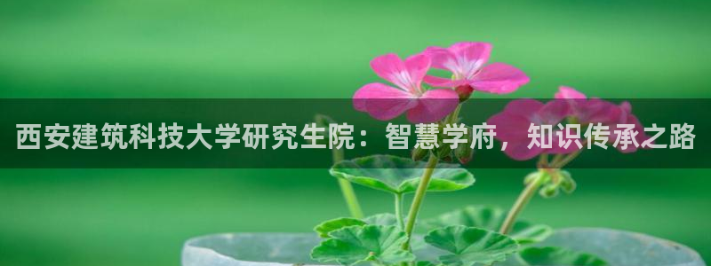 和记娱乐 怡情搏娱官网