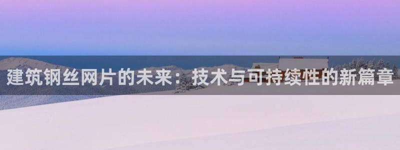 缅甸和记国际官网：建筑钢丝网片的未来：技术与可持续性的新篇章