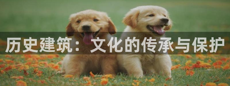 和记手机官网：历史建筑：文化的传承与保护