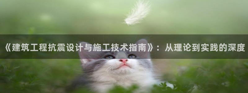 和记娱乐捕鱼官网：《建筑工程抗震设计与施工技术指南》：从理论到实践的深度
