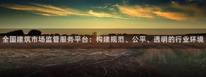 香港和记卡官网：全国建筑市场监管服务平台：构建规范、公平、透明的行业环境