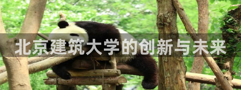 和记黄埔公司官网：北京建筑大学的创新与未来