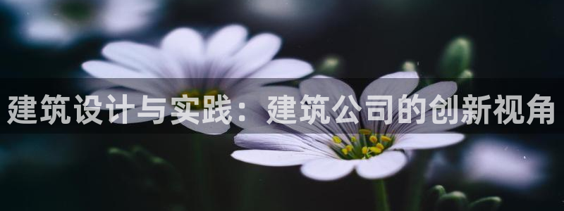 和记娱乐捕鱼官网：建筑设计与实践：建筑公司的创新视角