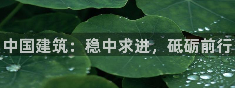 和帆记加盟官网：中国建筑：稳中求进，砥砺前行