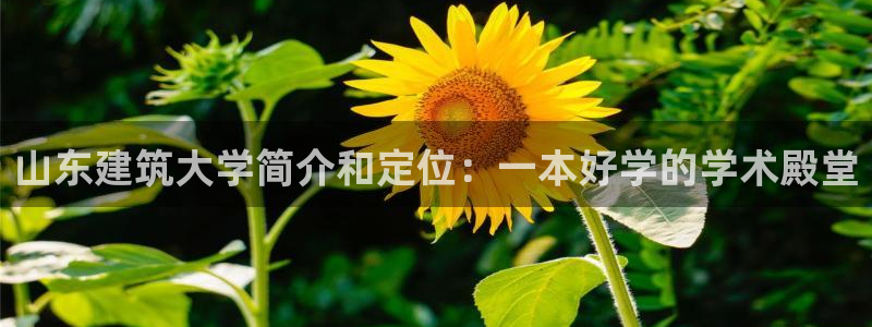 和记官网进入：山东建筑大学简介和定位：一本好学的学术殿堂