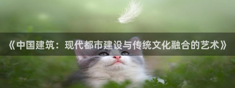 和记混凝土官网：《中国建筑：现代都市建设与传统文化融合的艺术》