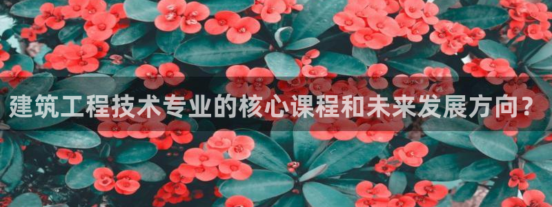 和记官网app是谁的：建筑工程技术专业的核心课程和未来发展方向？