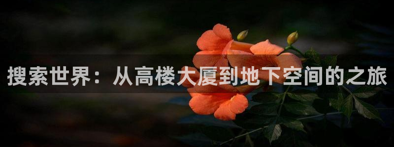 香港和记隆官网：搜索世界：从高楼大厦到地下空间的之旅