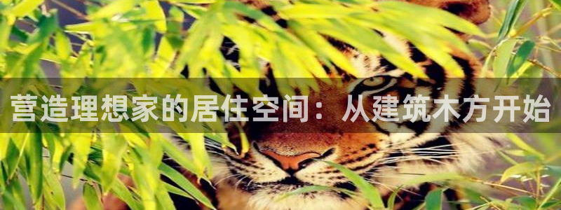 和记电讯澳门官网：营造理想家的居住空间：从建筑木方开始