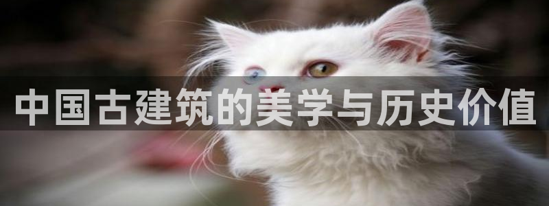 和记官网h88：中国古建筑的美学与历史价值