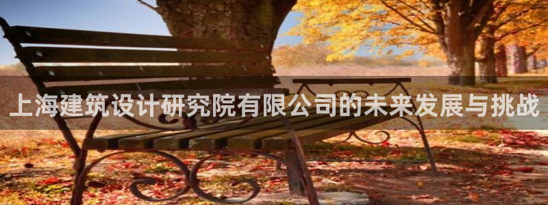 和记万佳官网：上海建筑设计研究院有限公司的未来发展与挑战