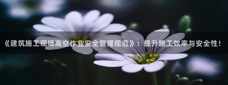 成都和记黄埔官网