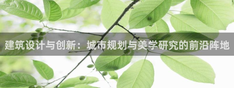 和记隆官网：建筑设计与创新：城市规划与美学研究的前沿阵地