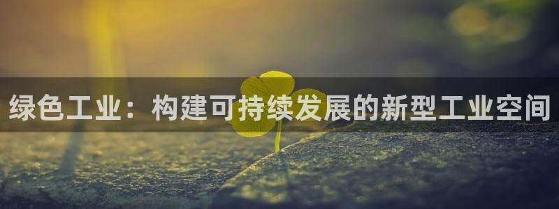 印尼和记官网