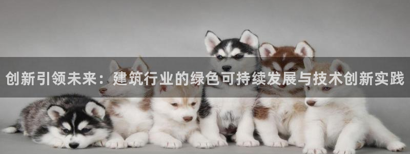 和记国际官网