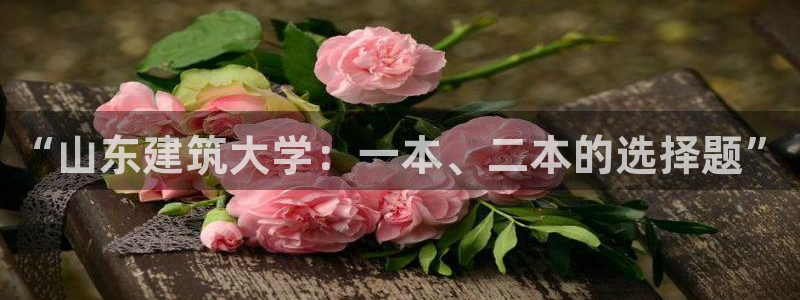 和记电讯app官网